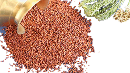 Ragi Millet - Admixture (%): 0