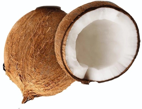Semi Husked A Grade Raw Coconut