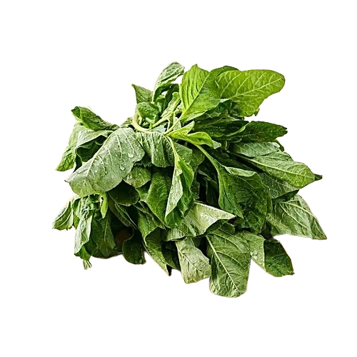 Green Amaranthus Leaves - Purity(%): 100