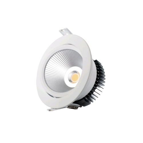 Led Down Light