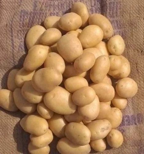 A Grade  Potato