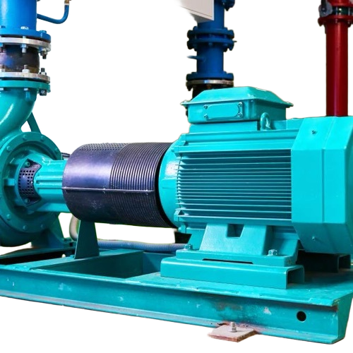 Industrial Double Pump