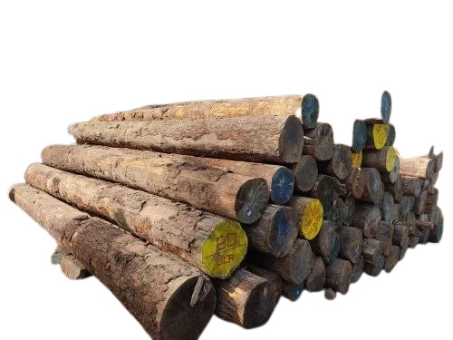 Pine Wood Logs - Feature: Moisture & Insect Resistance