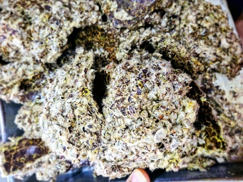 Buffalo Cattle Feed Supplements