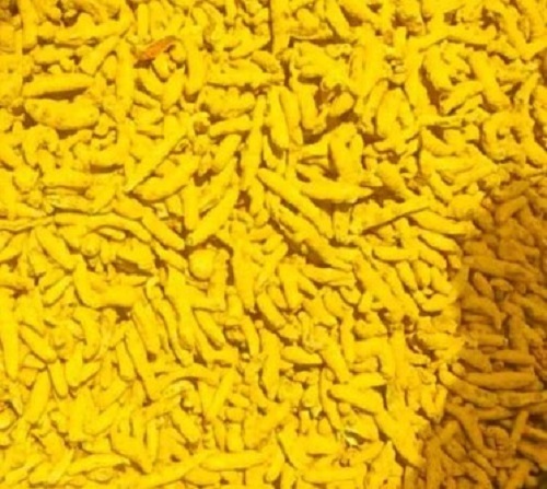 Turmeric Fingers