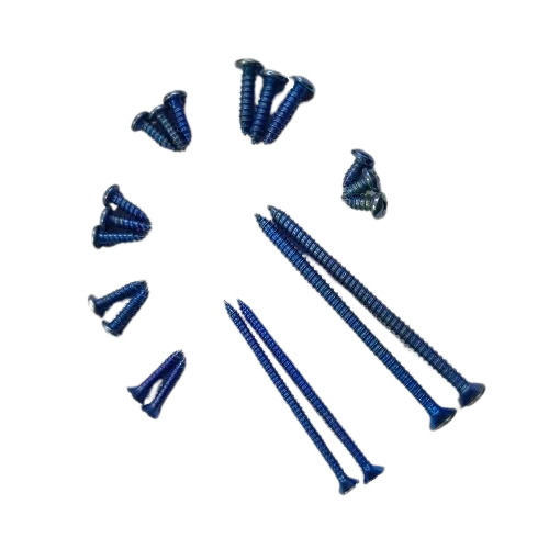 Polished Self Tapping Screw - Color: Blue