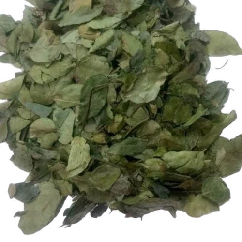 Fresh Moringa Powder - 1 kg Pack | 99% Pure Powder