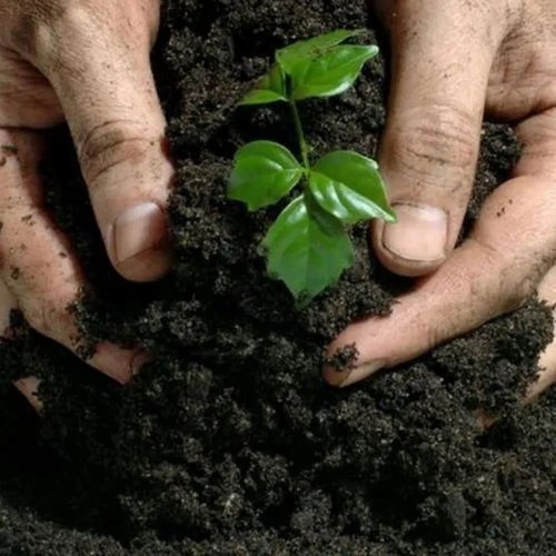Biological Fertilizer