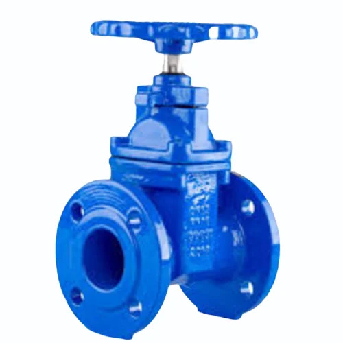 Cast Iron Strainer Valve - Application: Industrial