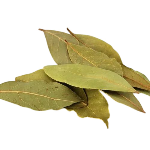 Dried Bay Leaf - Color: Brown