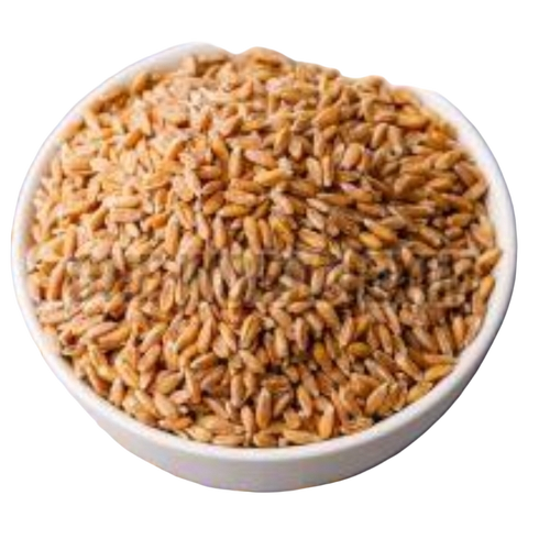 Wheat Grain