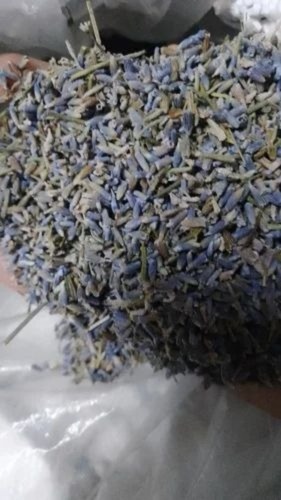 Dry Lavender Flowers - 1 Kg, Purple | Dried Blue Leaves