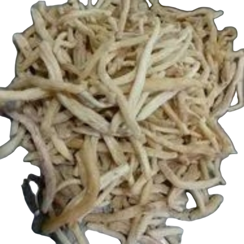 Organic Safed Musli Powder