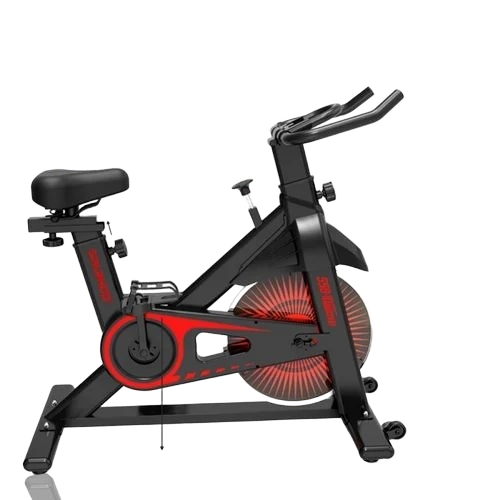 Exercise Cycle