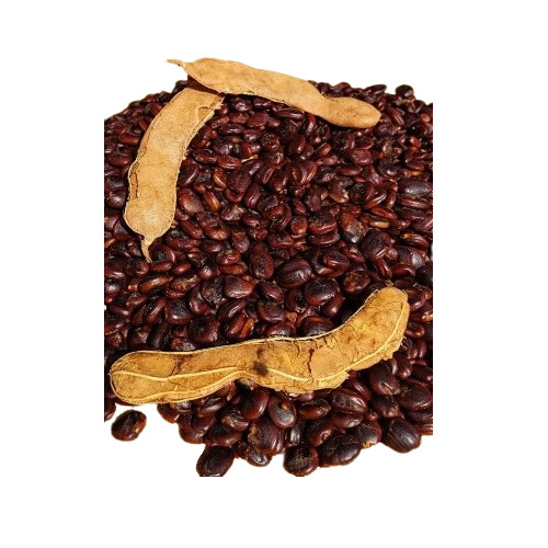 Organic Tamarind Seeds - Color: Brown