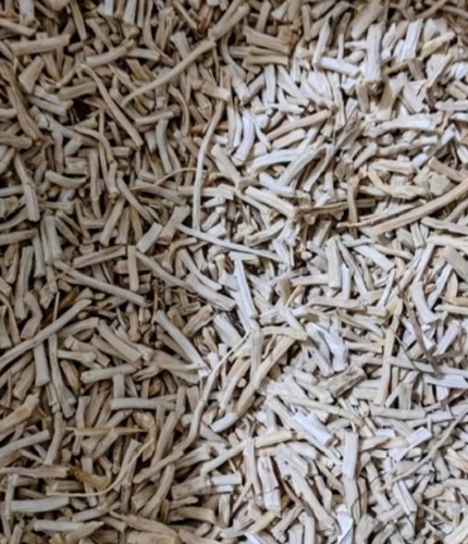 Organic Shatavari Root