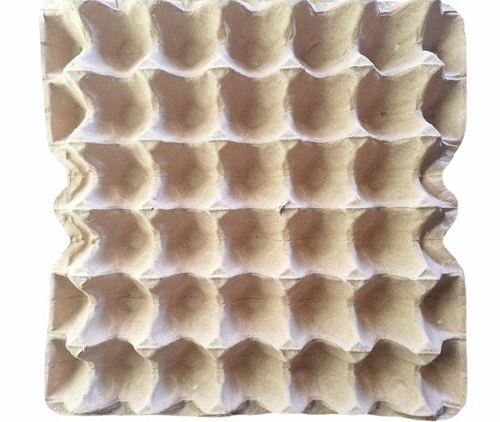 Paper Egg Packaging Tray
