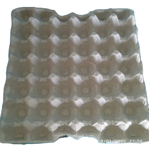 Paper Egg Tray