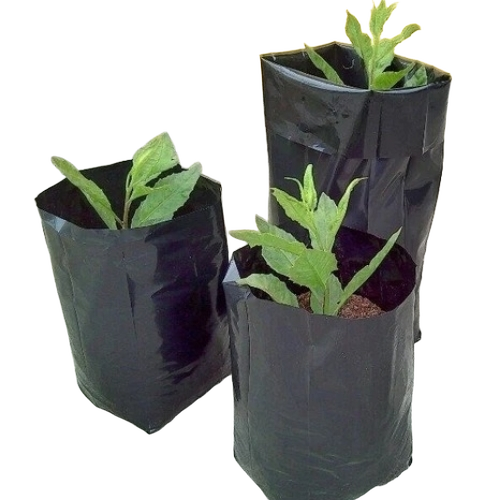Nursery Grow Bag