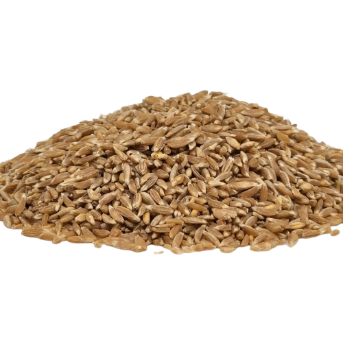 Organic Khapli Wheat