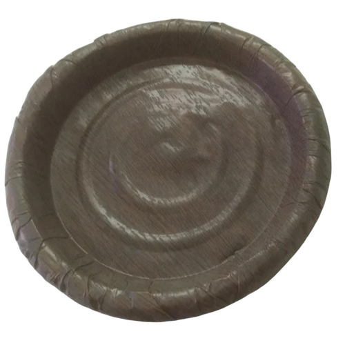 Disposable Paper Plate