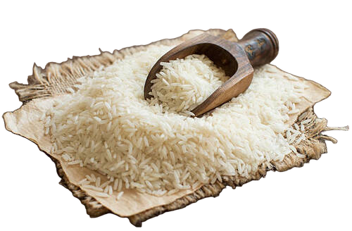 White Basmati Rice  - Cultivation Type: Common