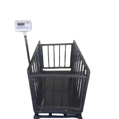 Goat Weighing Scale - MS, 600x900mm, Black, 300Kg Capacity, Red LED Display, Electric Powered