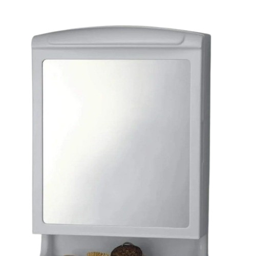 Mirror Cabinet