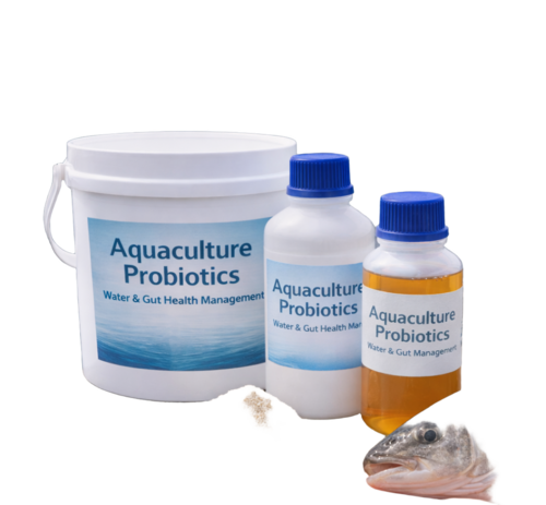 Aquaculture Probiotics