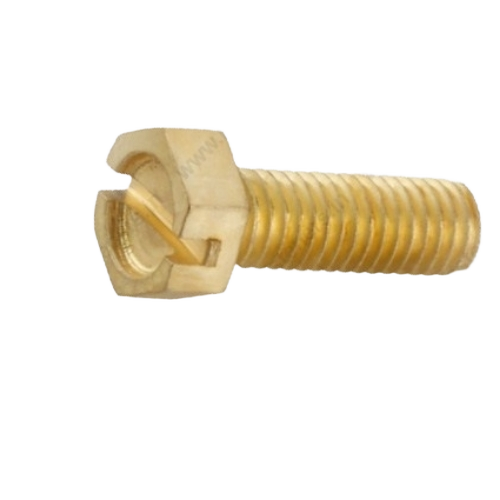 Brass Screws
