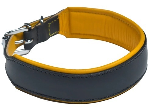 Designer Leather Dog Collar