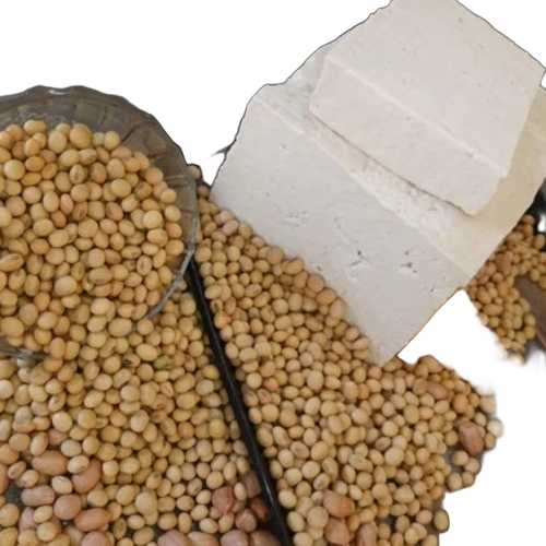 Plan Tofu Soya Paneer