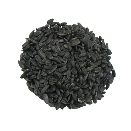 Pure Black Sunflower Seeds