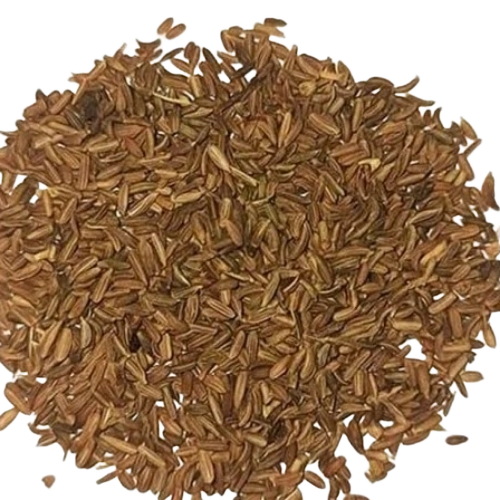 Carrot Seed - Color: Light Brown
