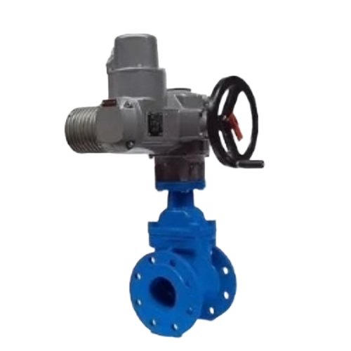 Electric Gate Valves