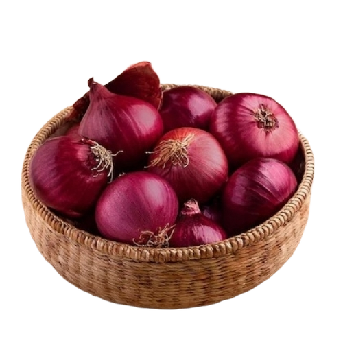 Fresh Onion 