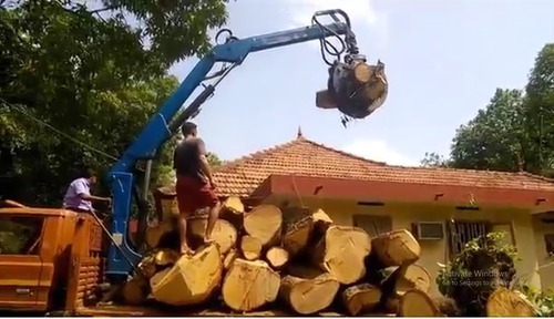 Timber Loading Crane