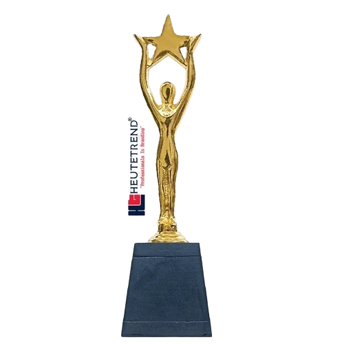 Customizable Corporate Trophy - Standard Size, Colorful | Eco Friendly, Box Packaging, Business Gift