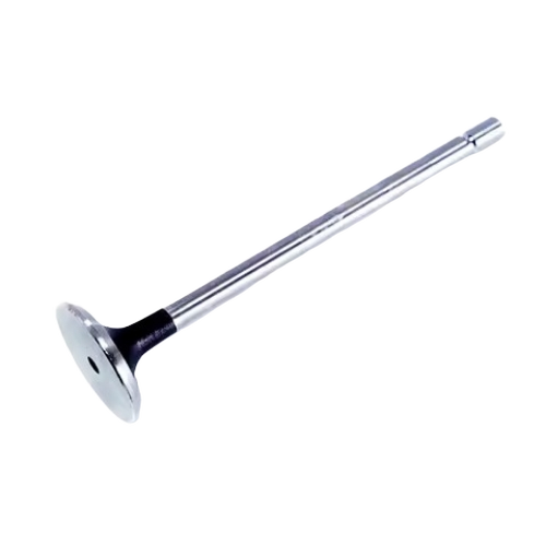 Engine Exhausted Valve