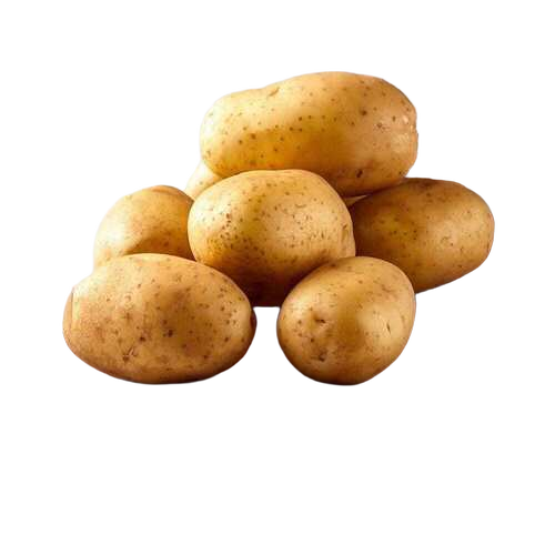 Fresh Potato - Moisture (%): .
