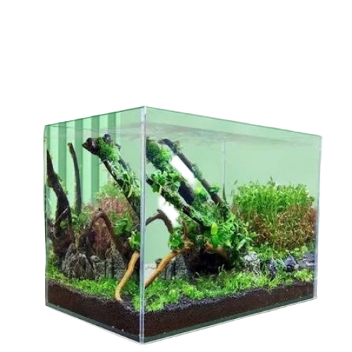Glass Aquarium
