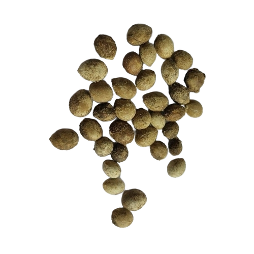 Dried Alangium Salvifolium Seeds
