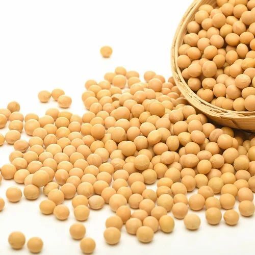 Organic Soyabean Seeds - Grade: Food Grade