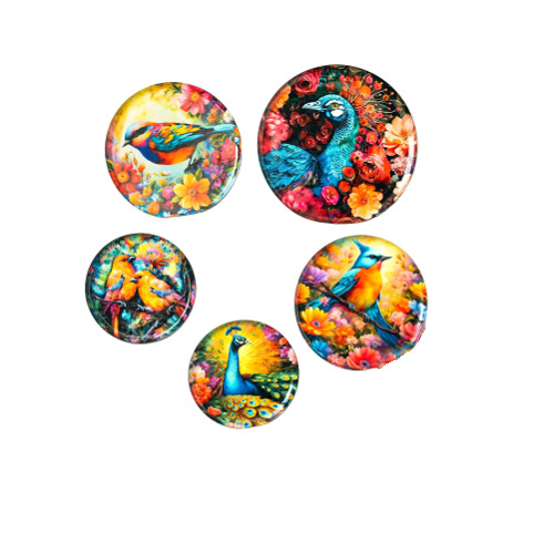 Ritualistic Pakshi Wall Plates For Home Decoration Set Of 5 - Color: Multi