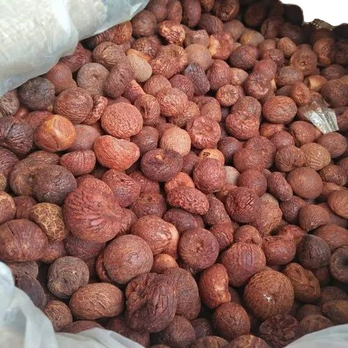 Dry Betel Nut - Broken (%): 5%