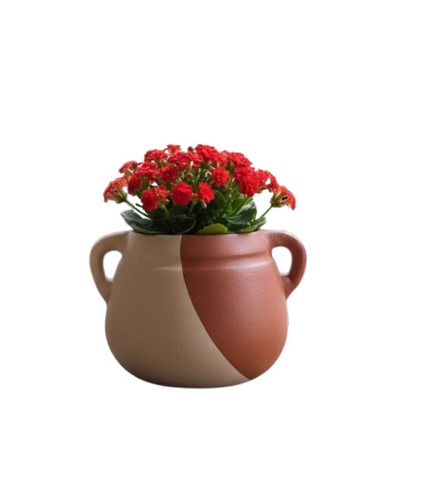 Terracotta Pot - Color: Multiple