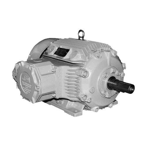 Crompton Greaves Electric Motor