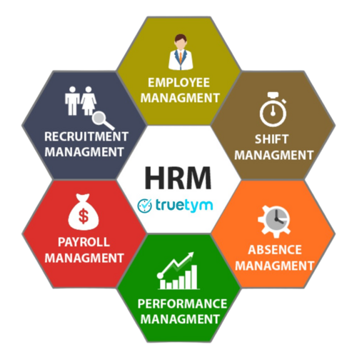 Human Resource Management Software(Hrms) - Capacity (Person): 10+