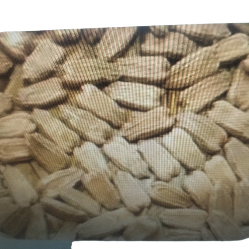 Gourd Seed - Light Brown, 99.5% Purity | Organic, Disease Resistant, Uniform Size, Long Shelf-Life