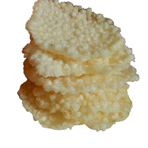 Sabudana Papad - Medium White, Lightly Salted | Crispy Texture, Gluten Free, Ready-to-cook